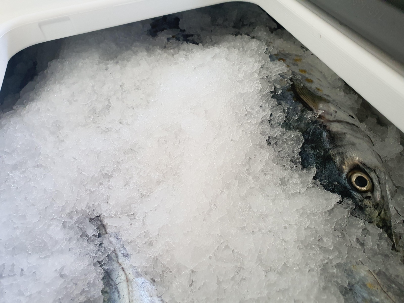 Llevamos cinco años navegando en un mar de incertidumbres.