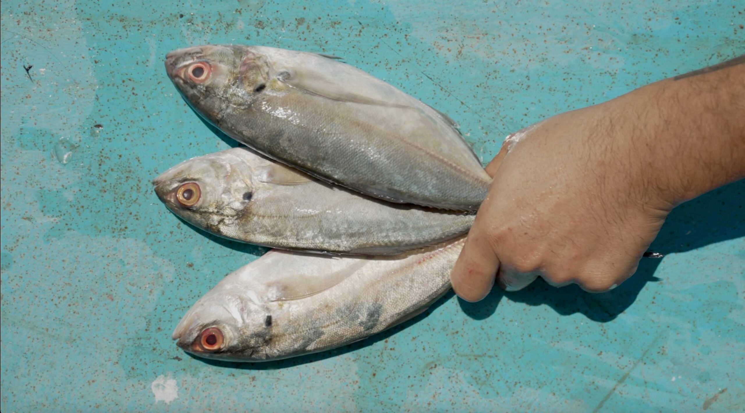 Aprender a emprender